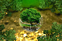 智能環(huán)境監(jiān)測(cè)平臺(tái)
